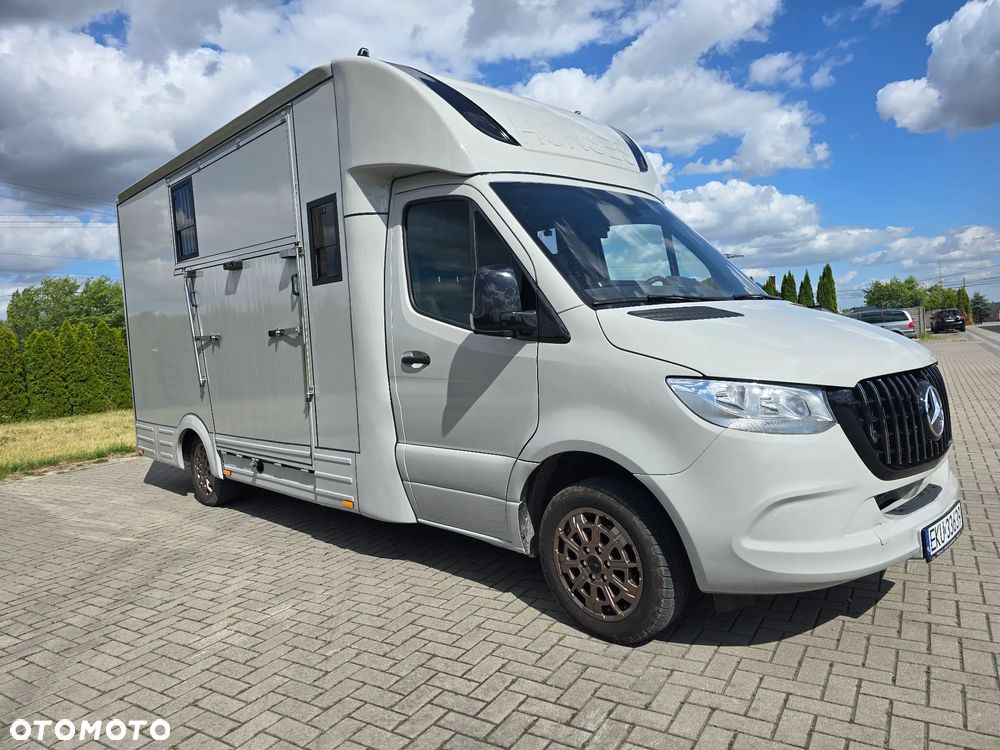 Mercedes-Benz Koniowóz-Sprinter - 5