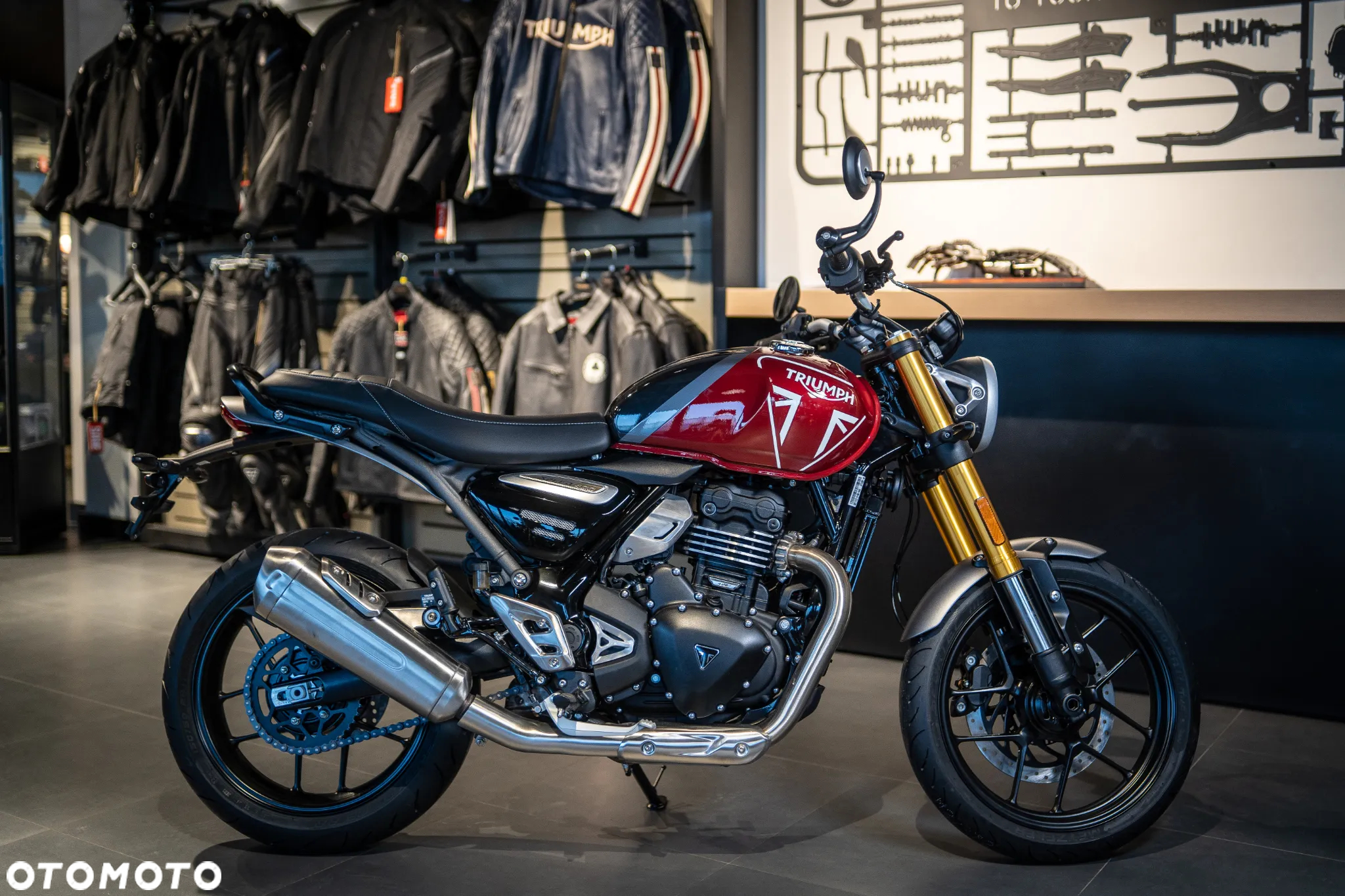 Triumph Inny - 23