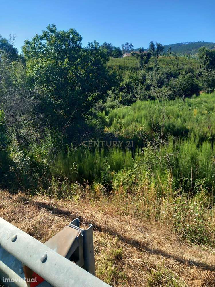 Terreno Roqueiro, Estreito - Grande imagem: 2/4