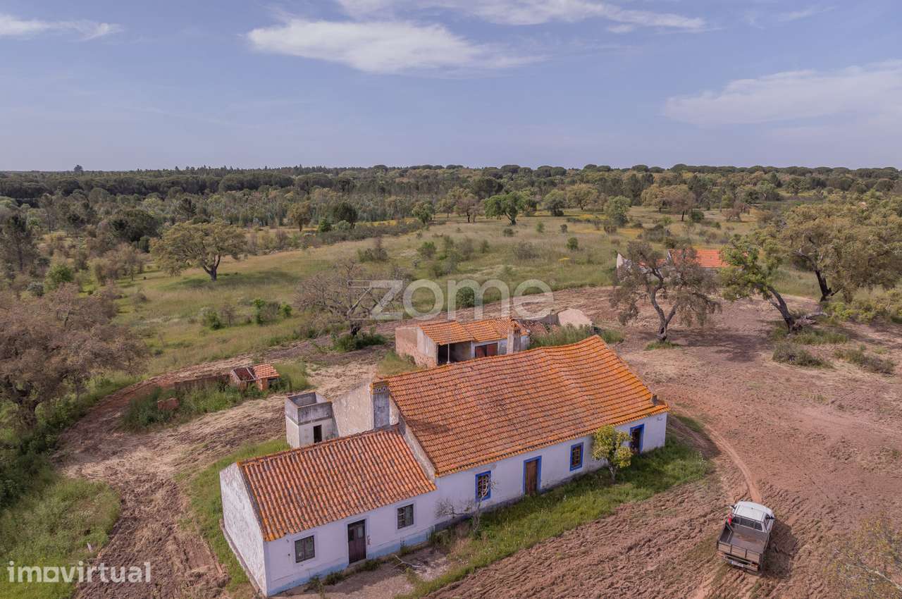 Herdade em Alvalade - Santiago do Cacém - Grande imagem: 4/22