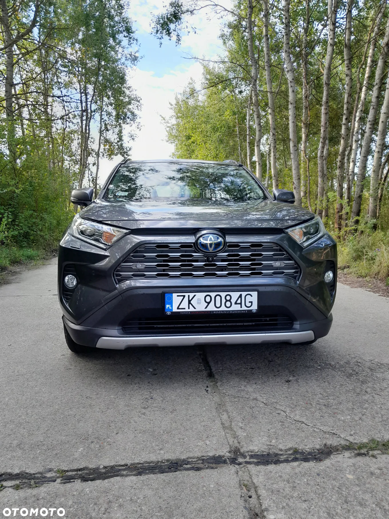 Toyota RAV4 2.5 Hybrid Executive 4x4 - 12