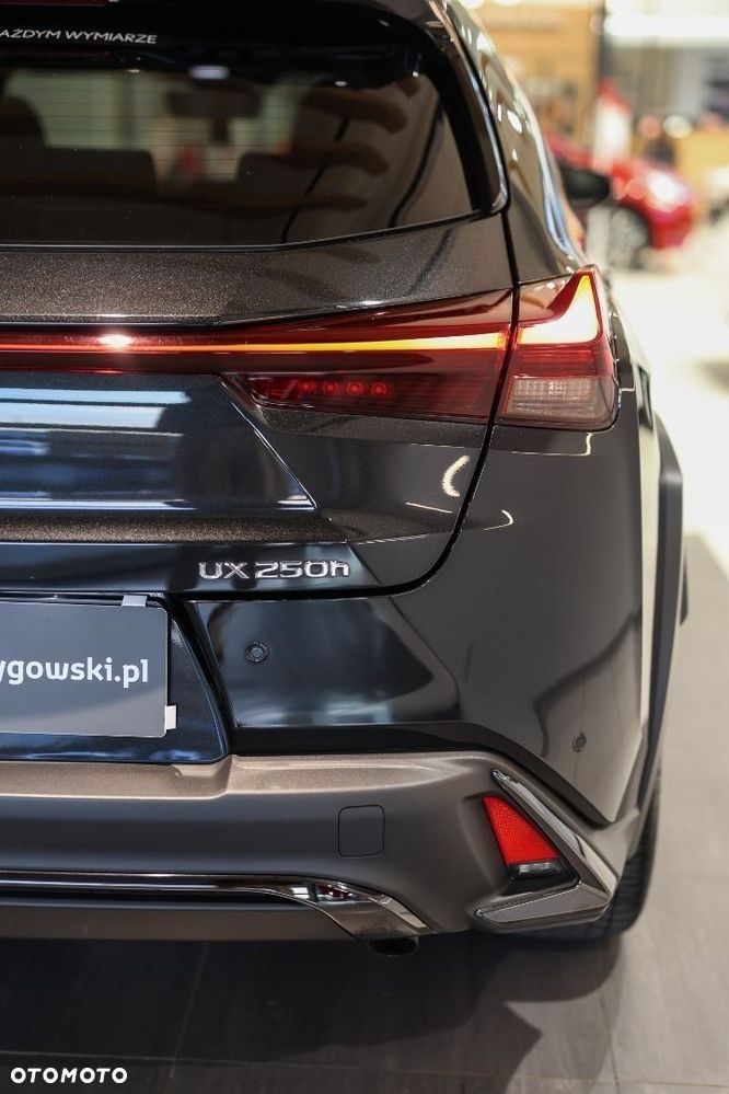 Lexus UX - 28