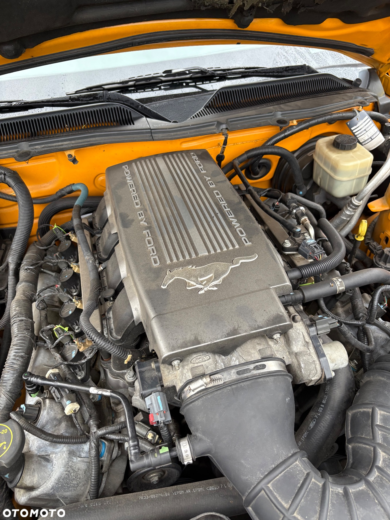 Ford Mustang - 20