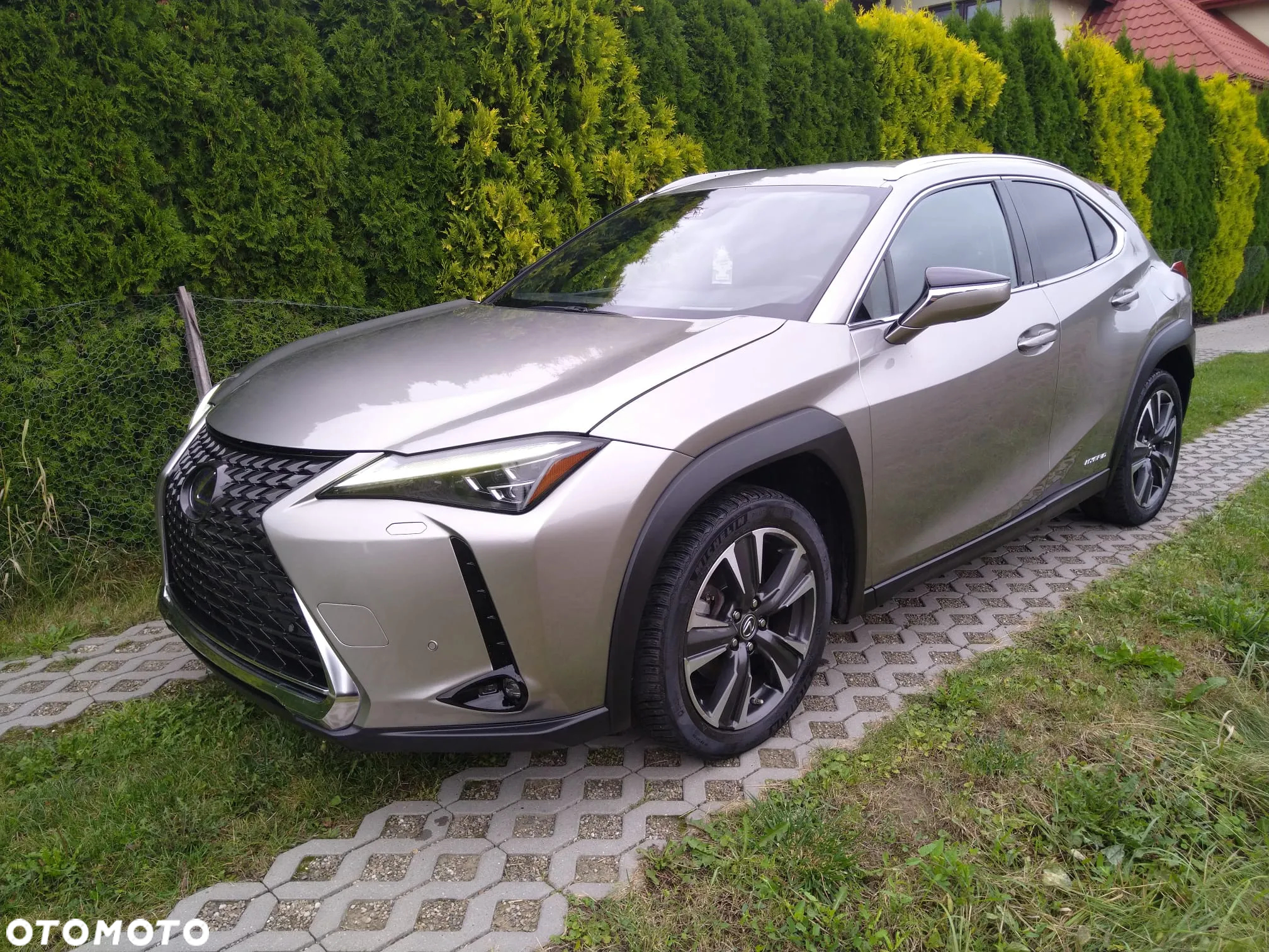 Lexus UX 250h GPF Business Edition AWD - 17