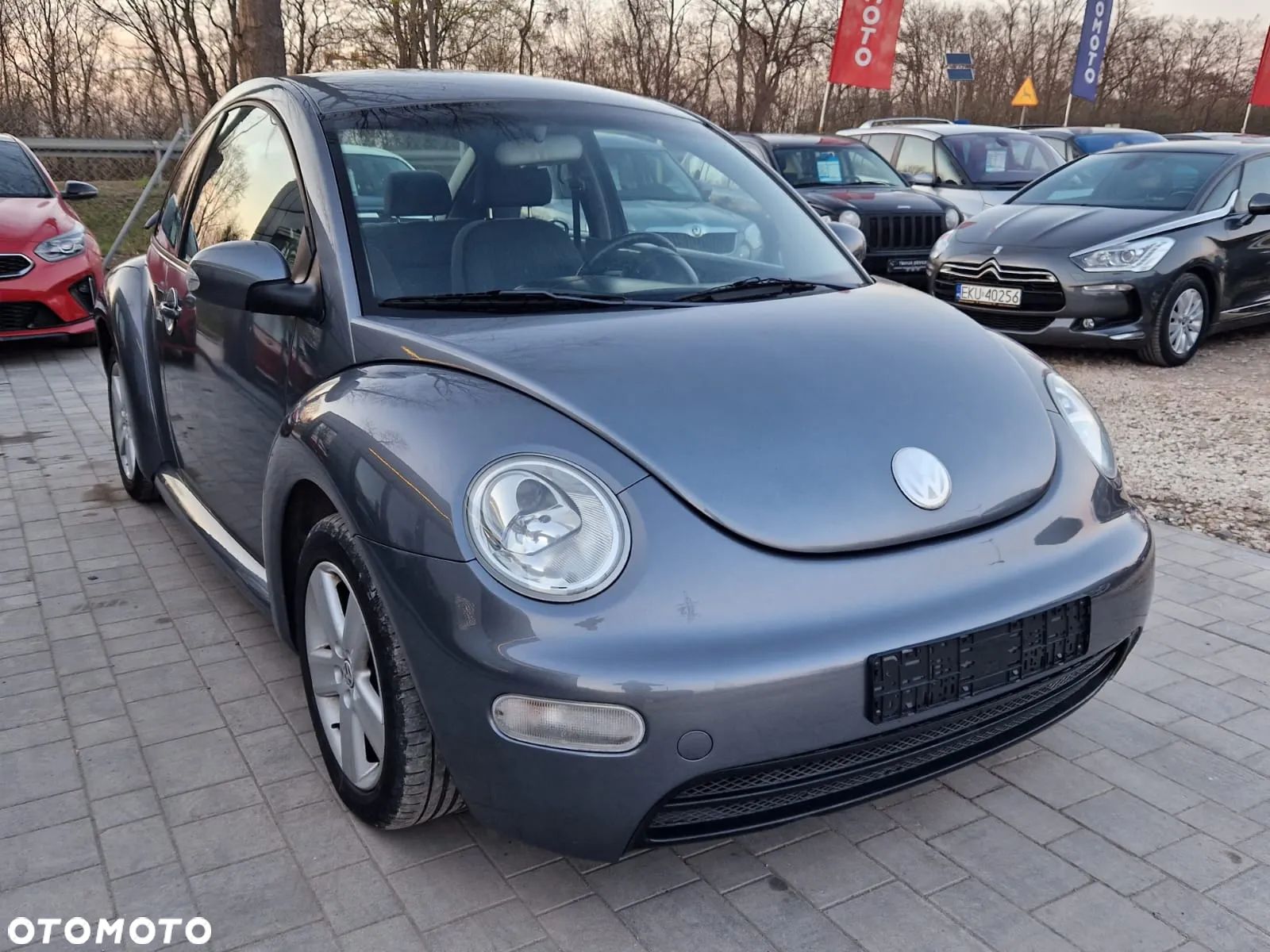 Volkswagen New Beetle 1.4 - 1
