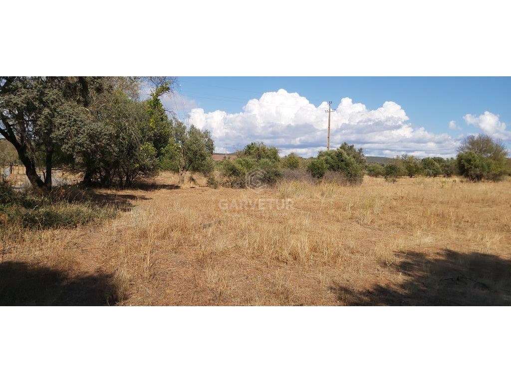 Terreno rústico, em zona agrícola, Porto dos Pires, Paderne, Albufe... - Grande imagem: 4/20