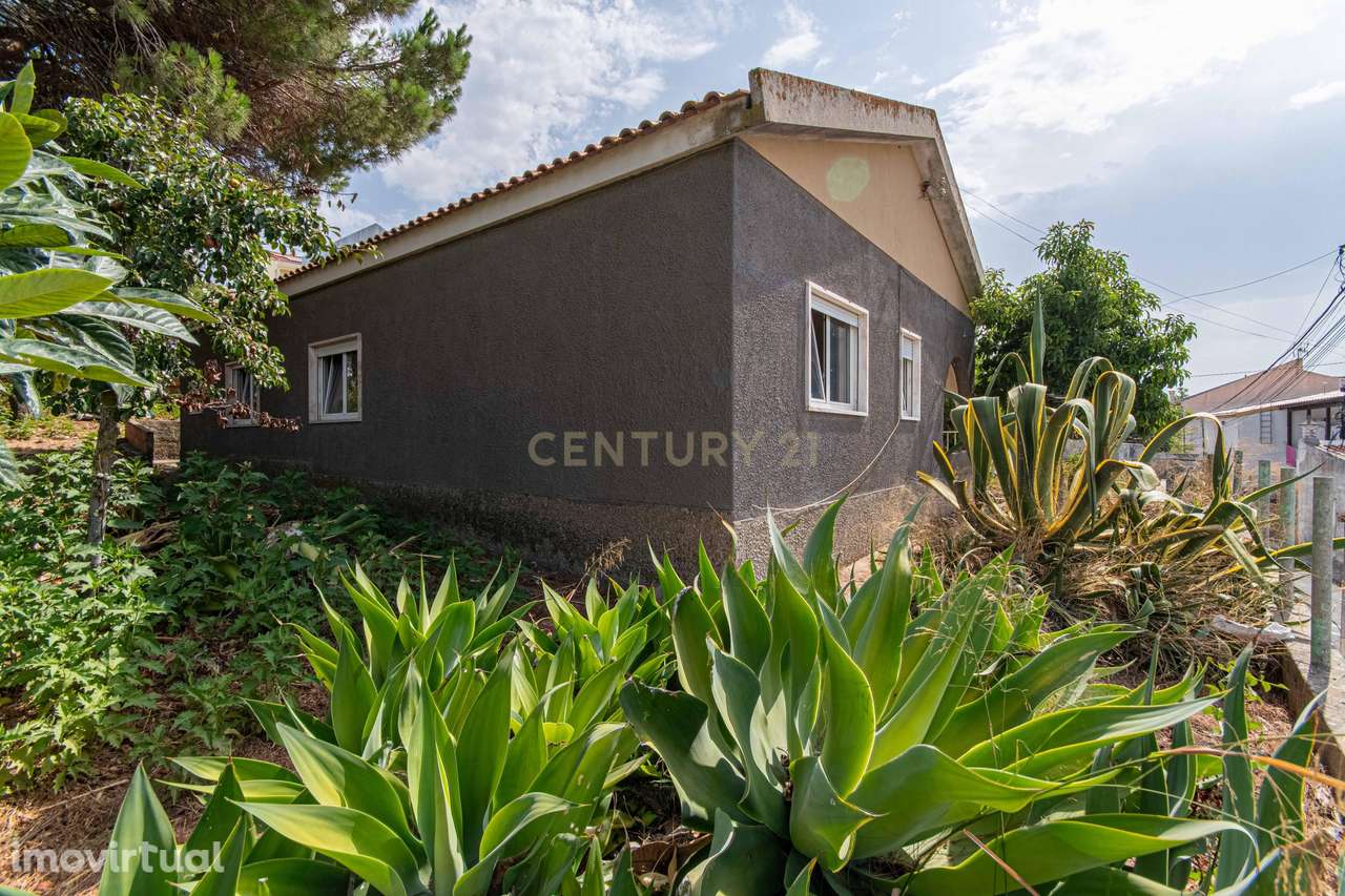 Moradia T3 em São João dos Montes - Grande imagem: 3/53