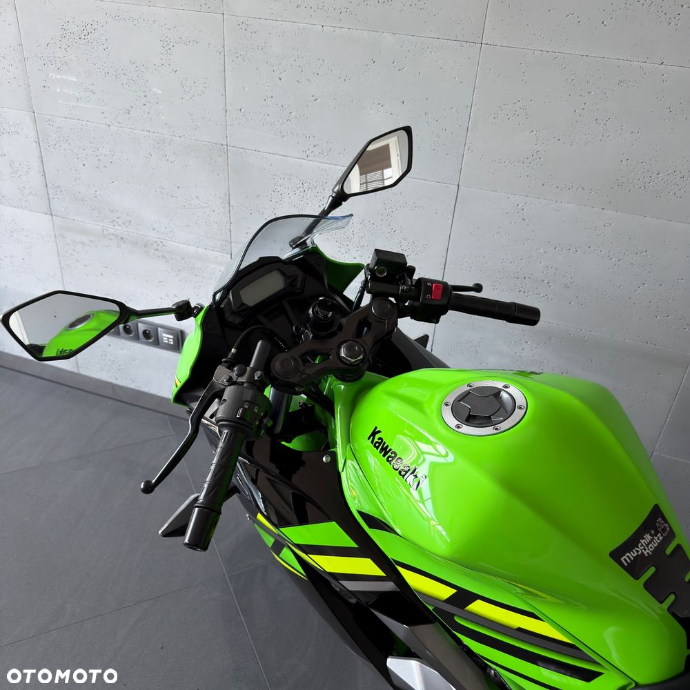Kawasaki Ninja - 16