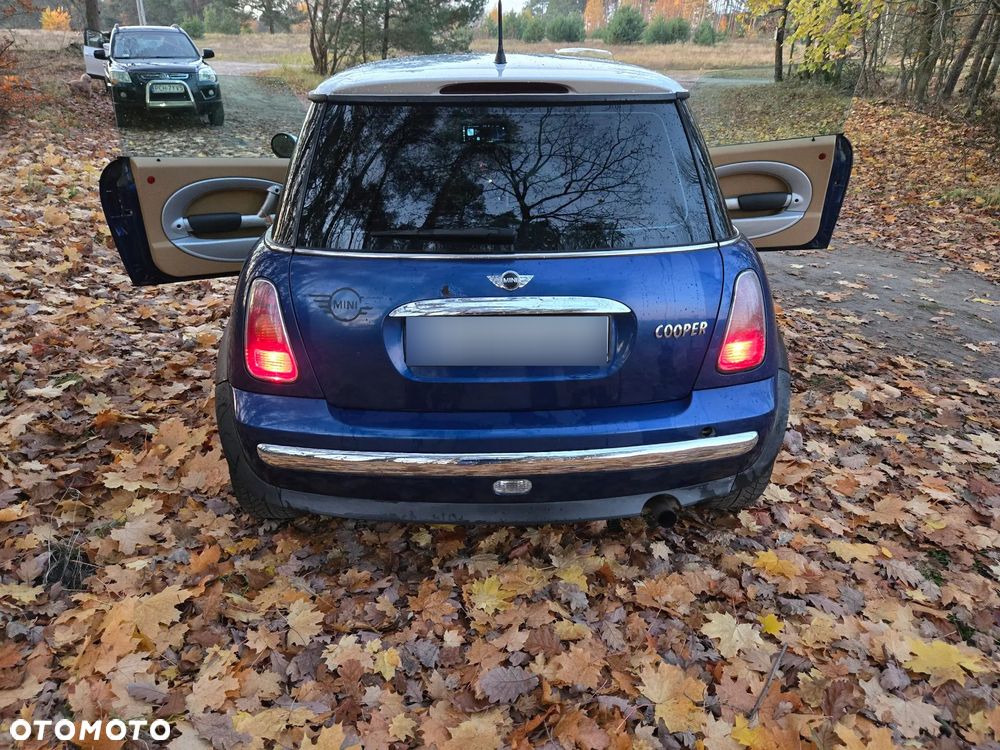 MINI Cooper chili - 2