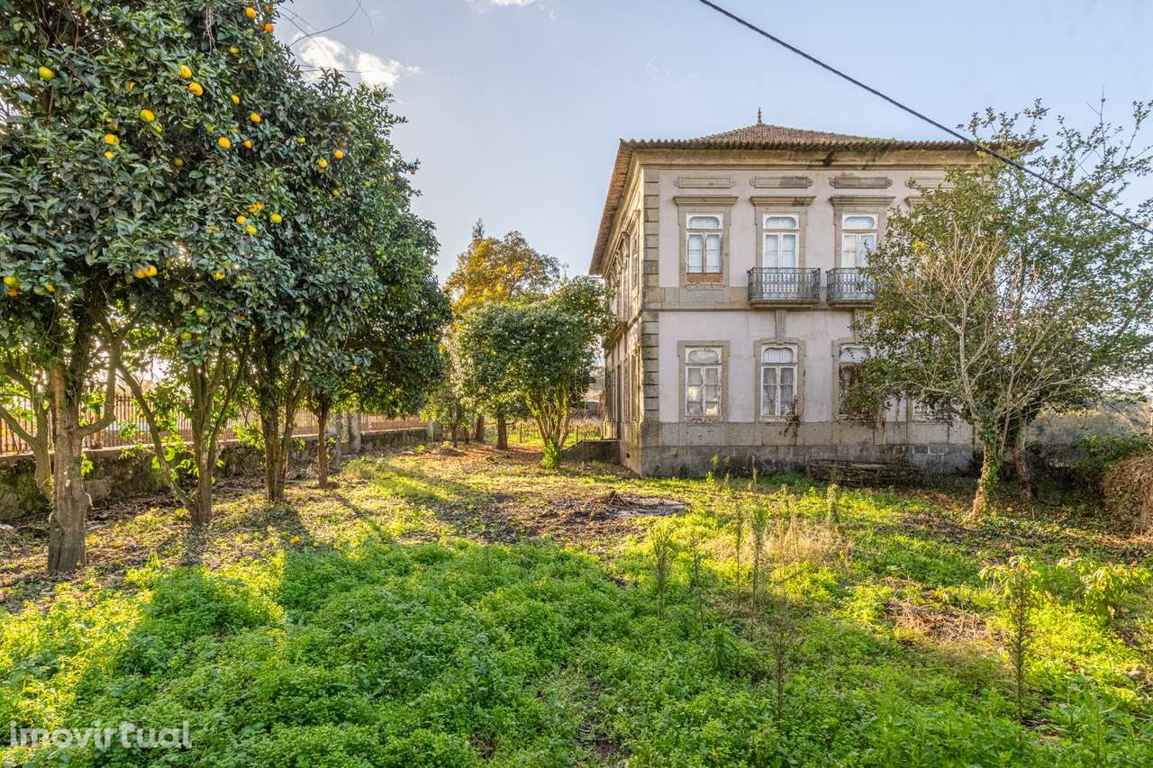 Moradia Senhorial - Felgueiras - Grande imagem: 5/36