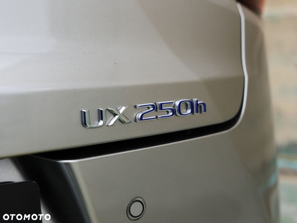 Lexus UX 250h GPF F Impression 2WD - 17