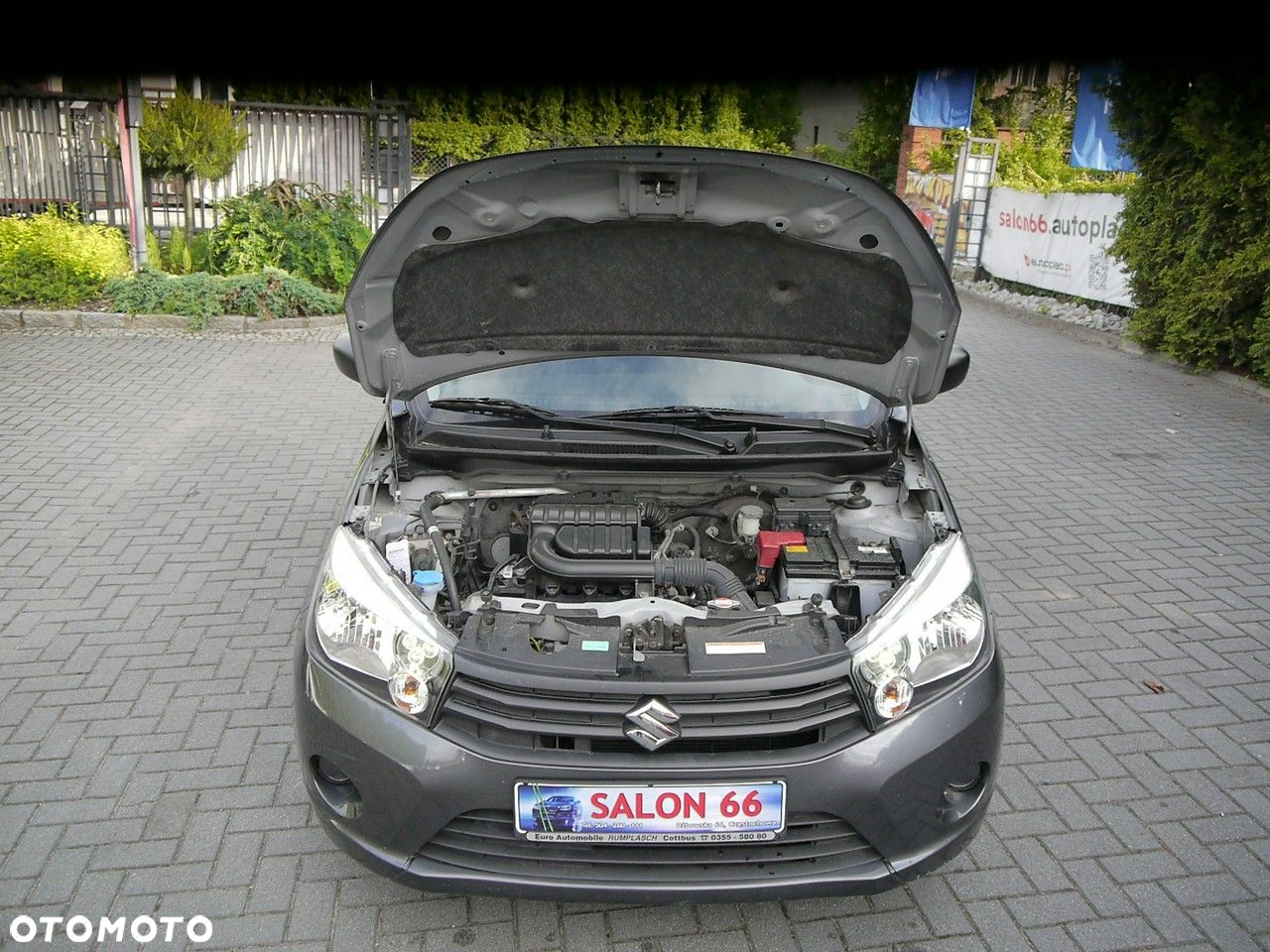 Suzuki Celerio - 13