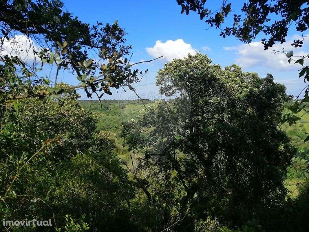 Terreno  para venda - Grande imagem: 4/5