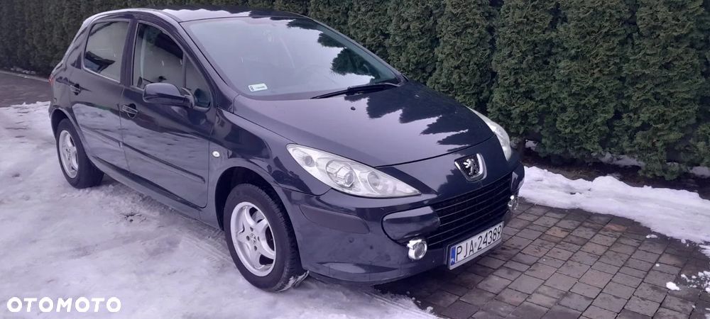Peugeot 307 1.6 HDI Sporty (kla) - 19