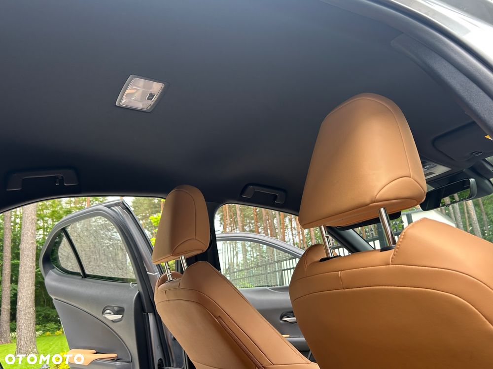 Lexus UX 250h GPF F Sport 2WD - 12