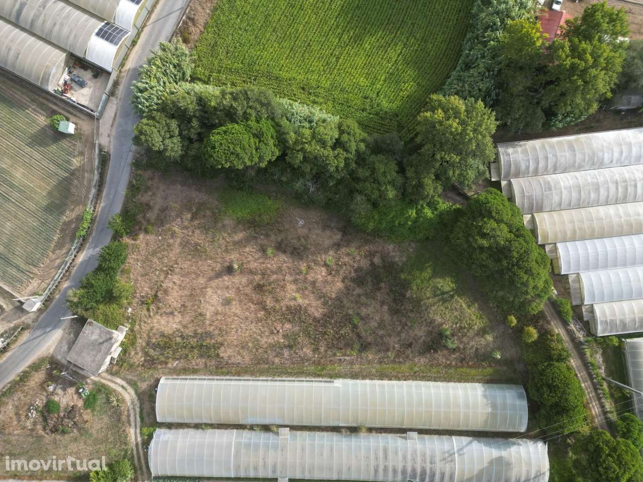 Terreno Rústico 3.750 m2 – Rio Alto, Estela - Póvoa de Varzim - Grande imagem: 2/22