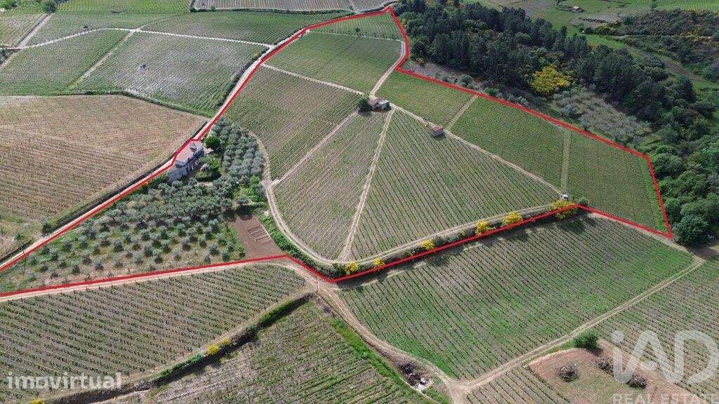 Terreno Agrícola em Castedo e Cotas - Grande imagem: 3/30