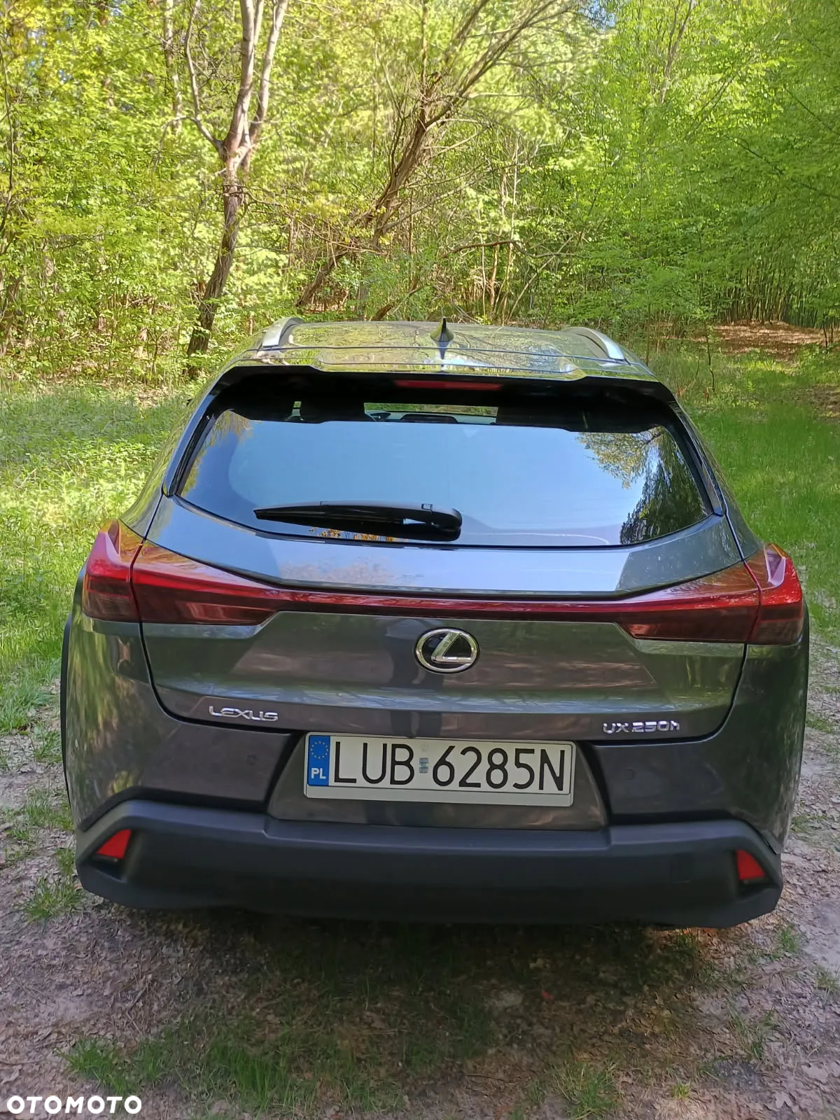 Lexus UX 250h GPF Business 2WD - 10