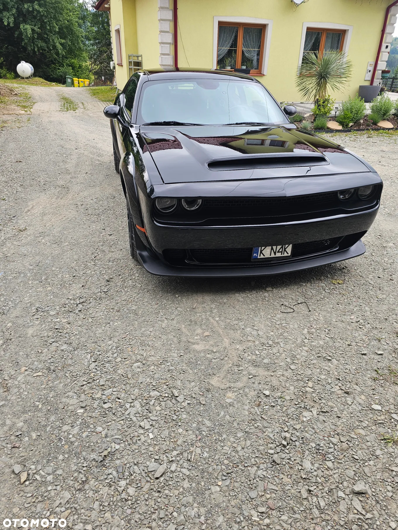 Dodge Challenger Automatik SXT Plus - 12