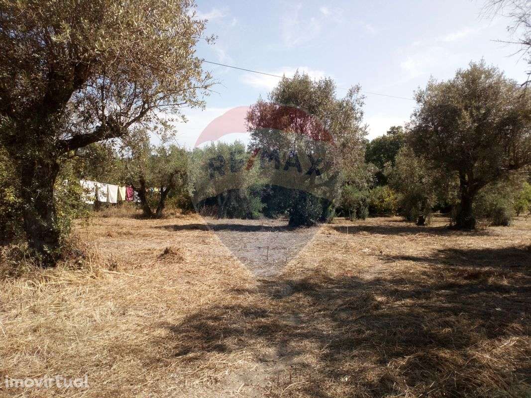 Terreno  para venda - Grande imagem: 3/5