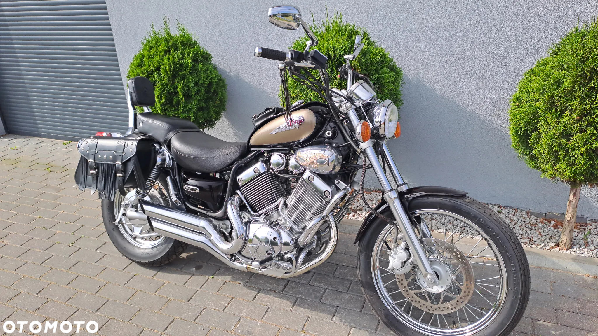 Yamaha Virago - 21