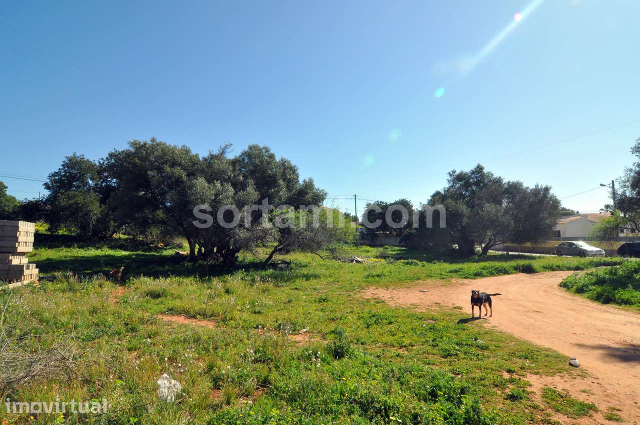 Terreno Para Construção  Venda em Almancil,Loulé - Grande imagem: 4/6
