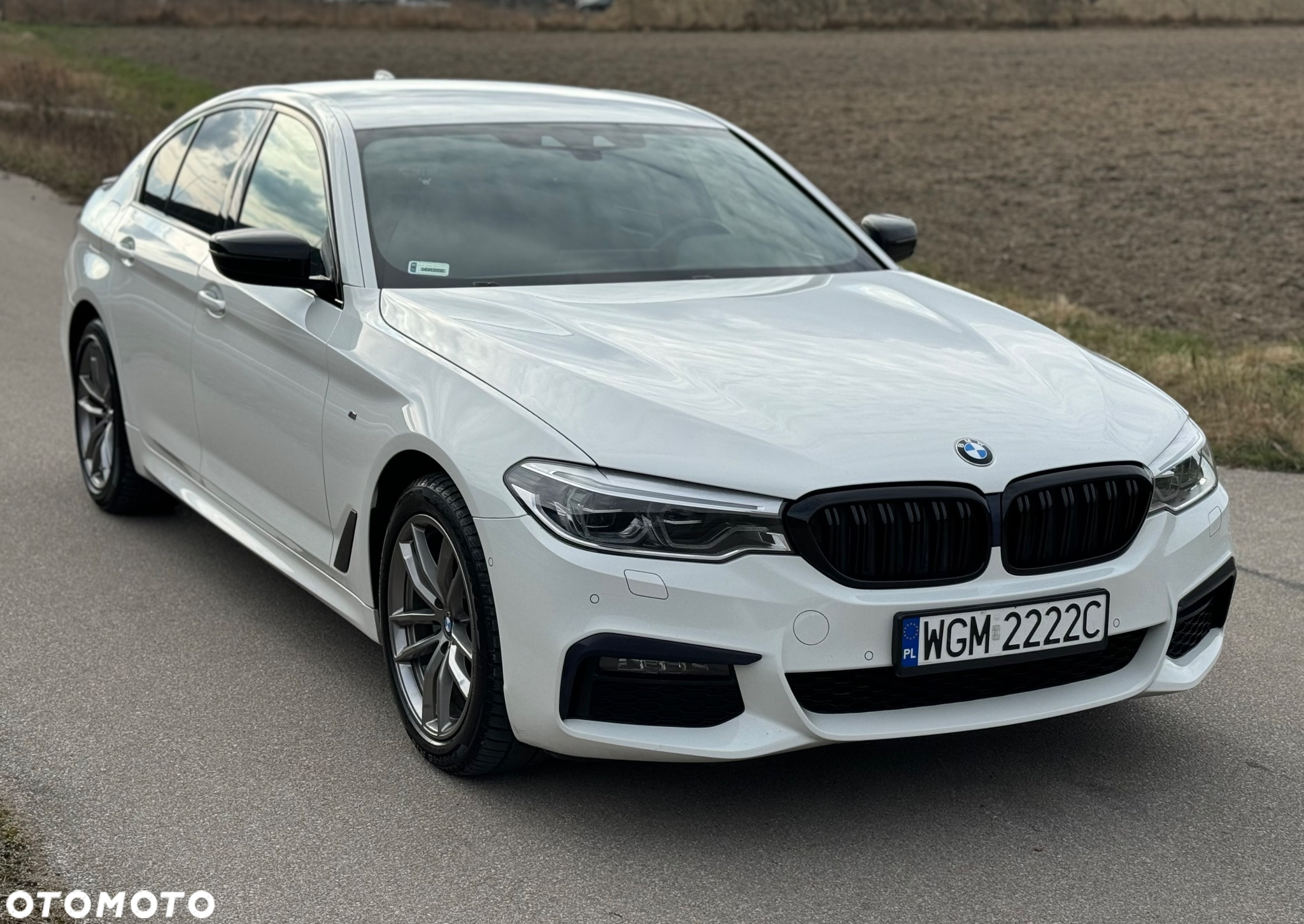 BMW Seria 5 520d xDrive M Sport sport - 19