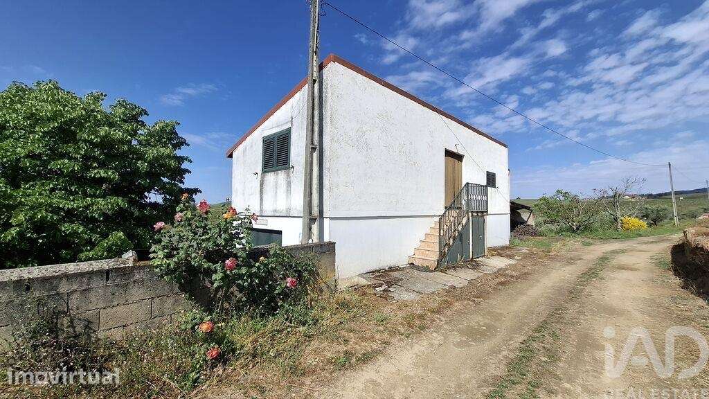 Terreno Agrícola em Castedo e Cotas - Grande imagem: 4/30