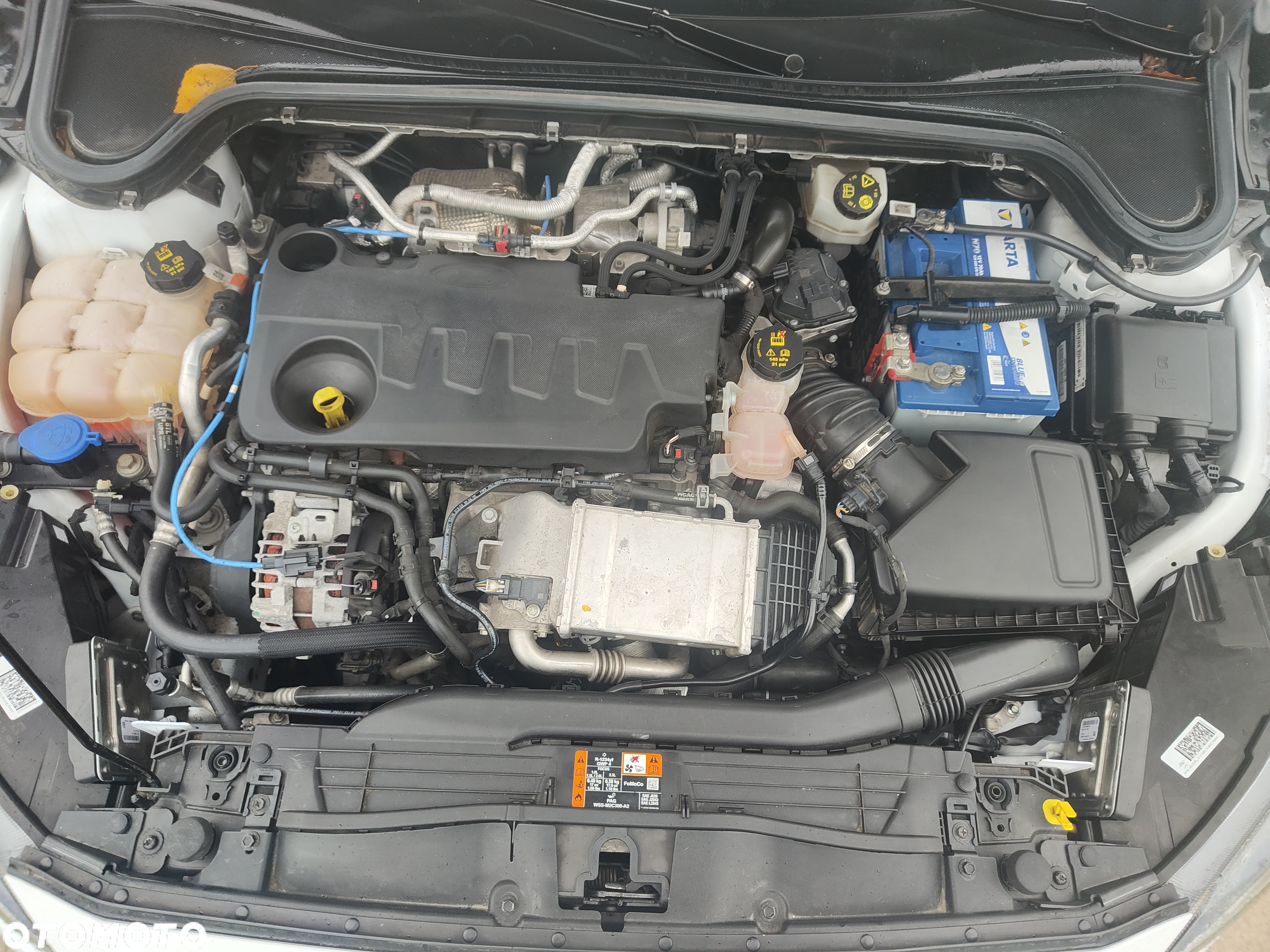 Ford Focus 2.0 EcoBlue Active Business - 18