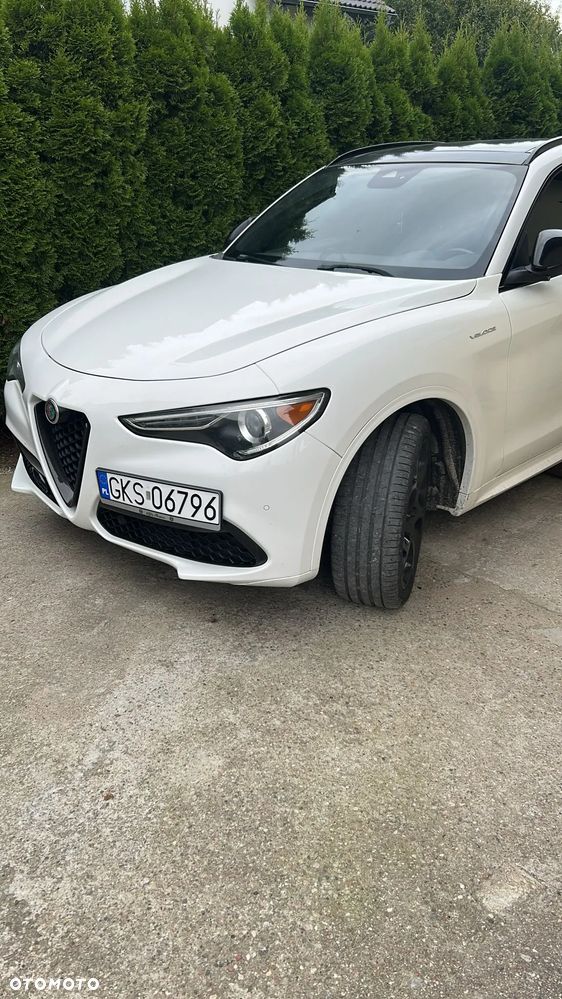Alfa Romeo Stelvio 2.0 Turbo Veloce Q4 - 5