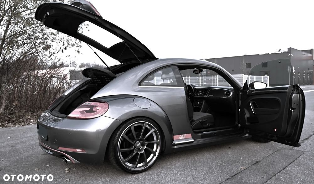 Volkswagen Beetle - 27