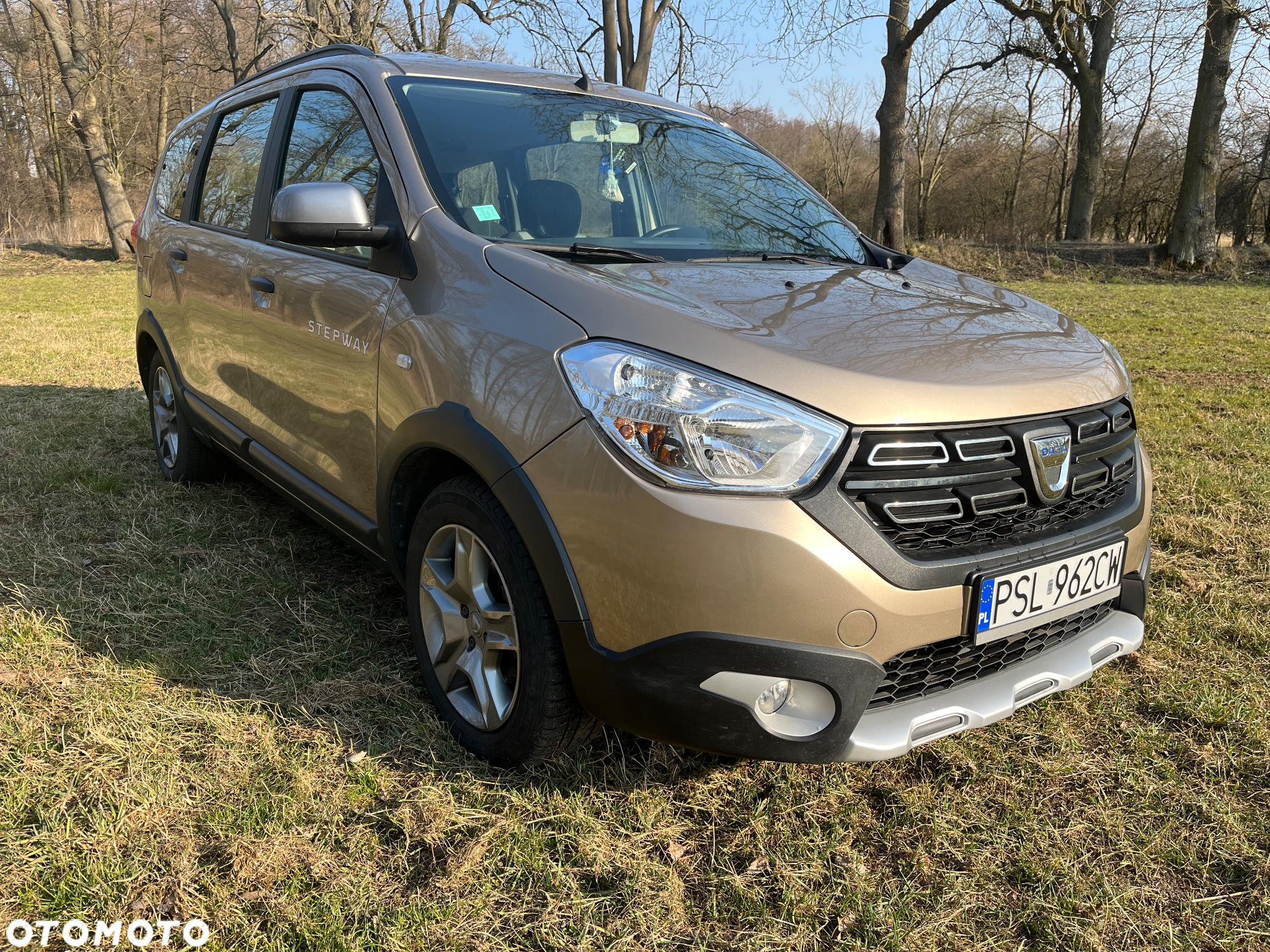 Dacia Lodgy Blue dCi 115 (7-Sitzer) Stepway Selection Blue - 4