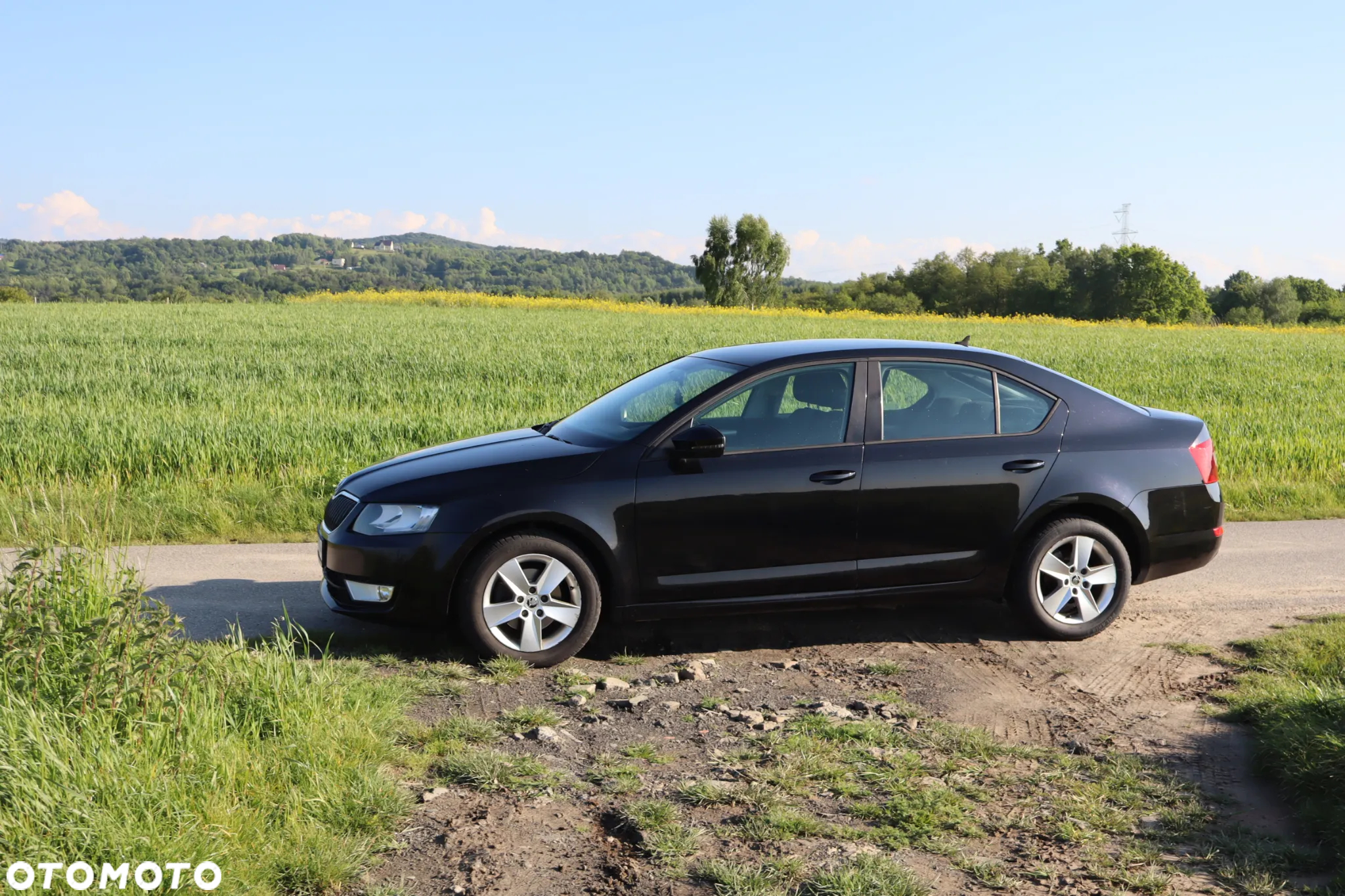 Skoda Octavia 2.0 TDI Ambition DSG - 9