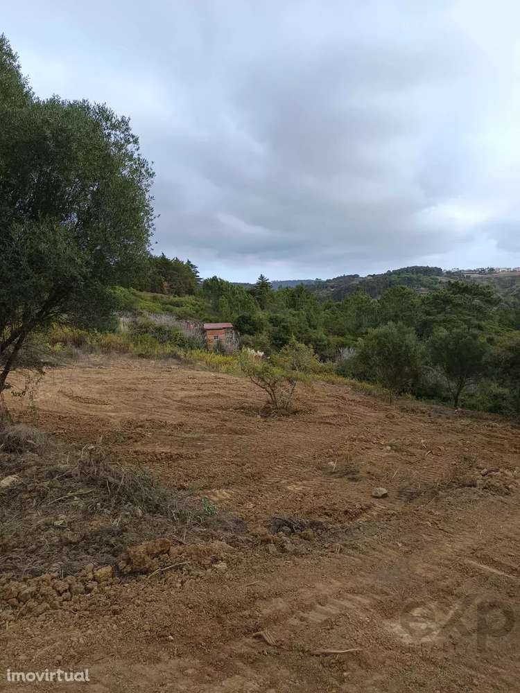 “Dabril”, Terreno Rústico em Mafra - Grande imagem: 5/8