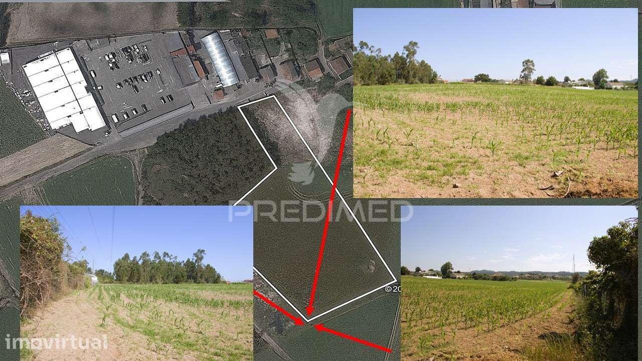 Terreno em Guilhabreu - Grande imagem: 4/7