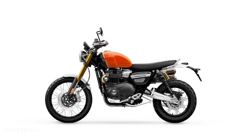 Triumph Scrambler - 3