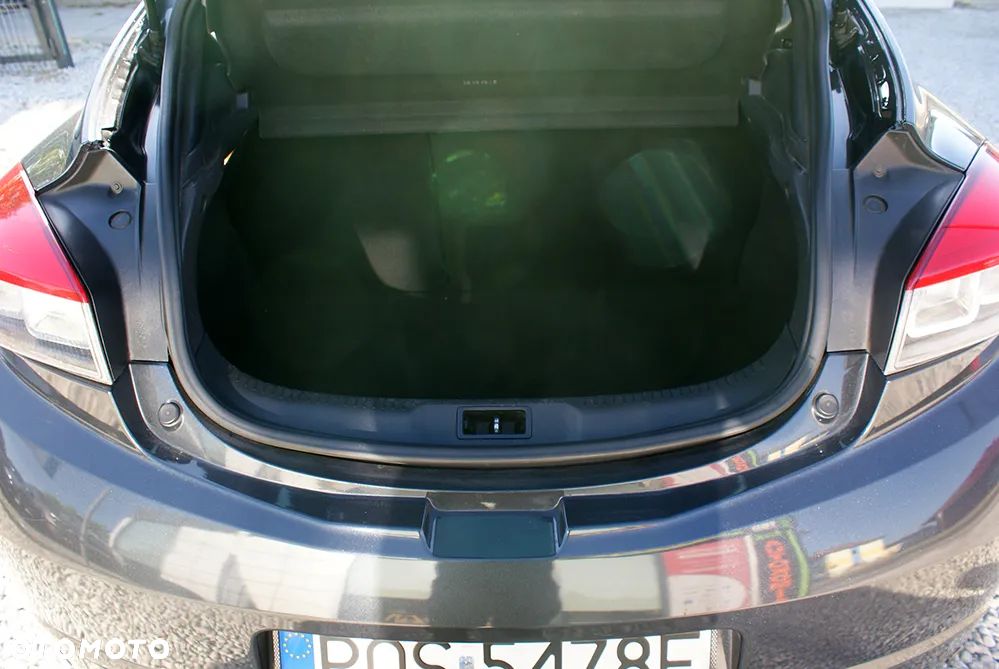 Renault Megane - 18