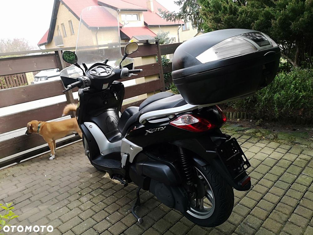 Yamaha Inny - 14
