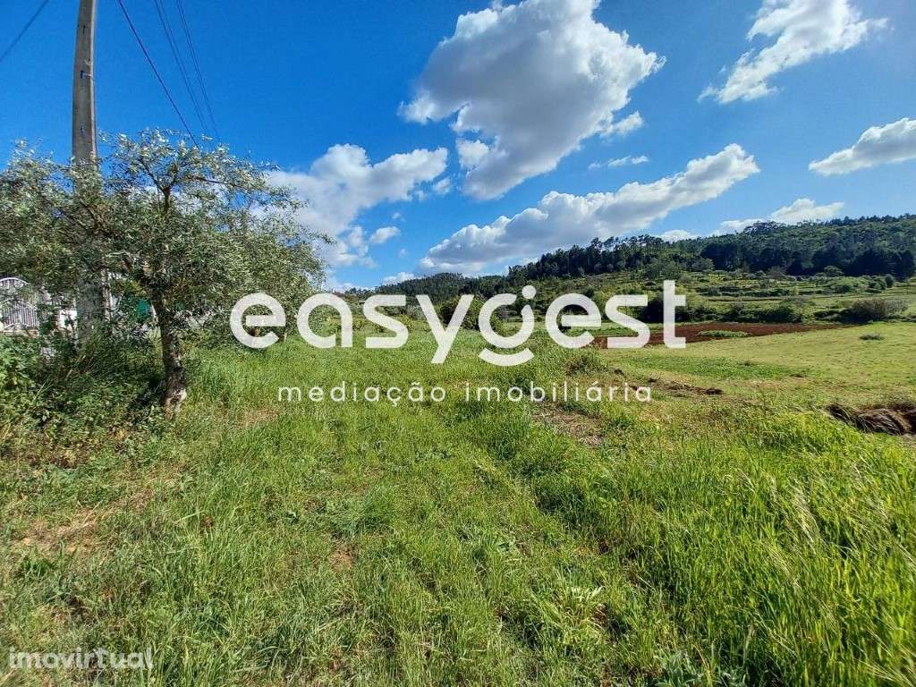 Terreno Rústico - Urbanizável - Abrunheira - Assafarge - Coimbra - Grande imagem: 5/14