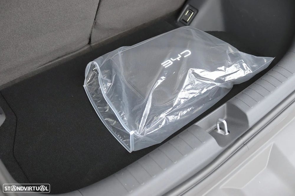 BYD Dolphin Surf 30 kWh Active - 31