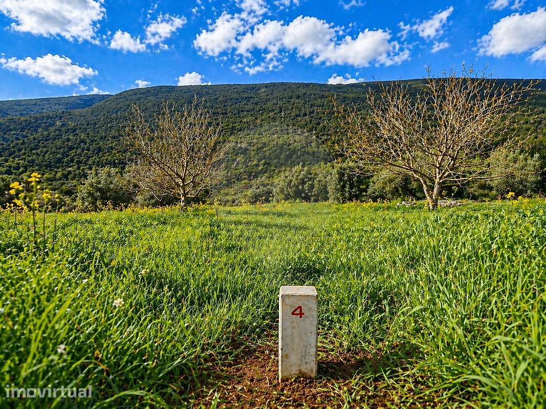 Terreno  para venda - Grande imagem: 2/12