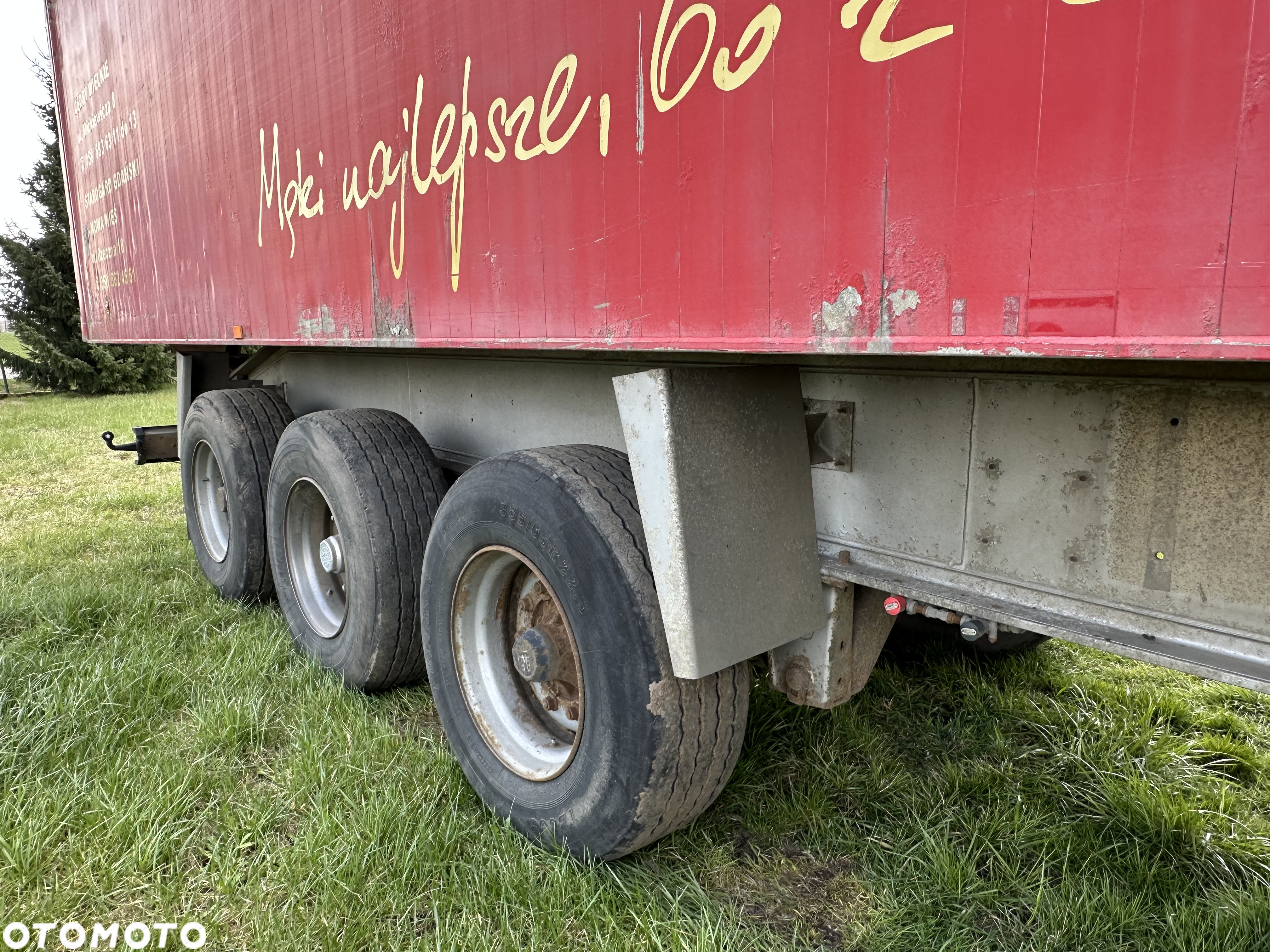 Benalu FRUEHAUF - 6