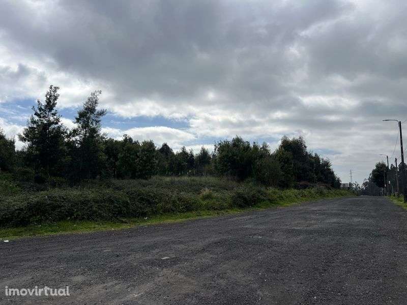Vendo Terreno para Indústria e Logística - Castêlo da Maia - Grande imagem: 2/7
