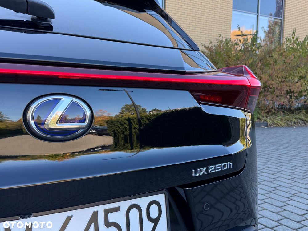 Lexus UX 200 GPF F Sport Design+ 2WD - 17