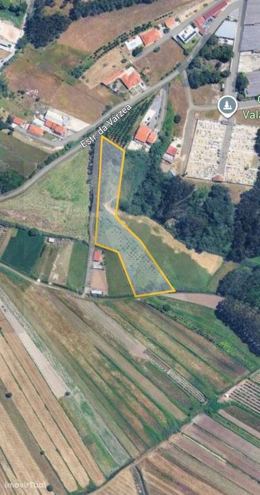 [EXCLUSIVO] Onde a Serenidade do Campo Encontra a Alma do Atlântico – - Grande imagem: 2/13