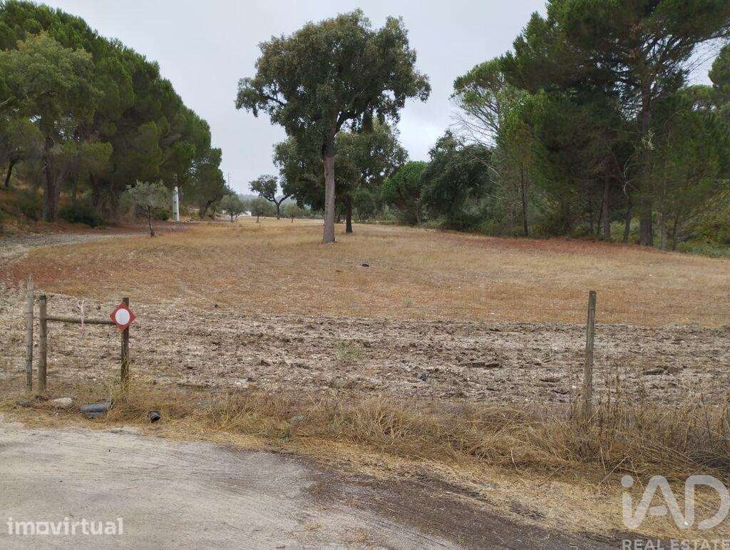 Terreno Agrícola em Galveias - Grande imagem: 5/10