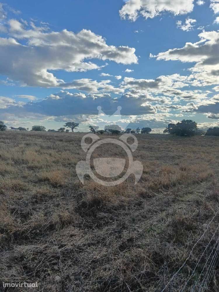 Terreno Rustico com possibilidade de construção - Grande imagem: 5/30