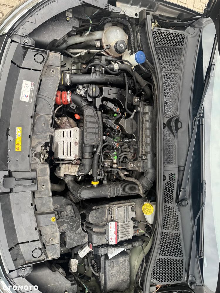 Citroën C4 Cactus Pure Tech 110 Stop&Start Feel - 16