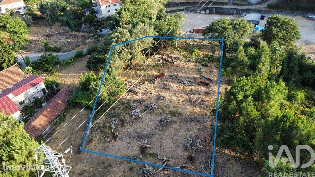 Terreno em Castanheira de Pêra e Coentral de 1517,00 m2 - Grande imagem: 3/29