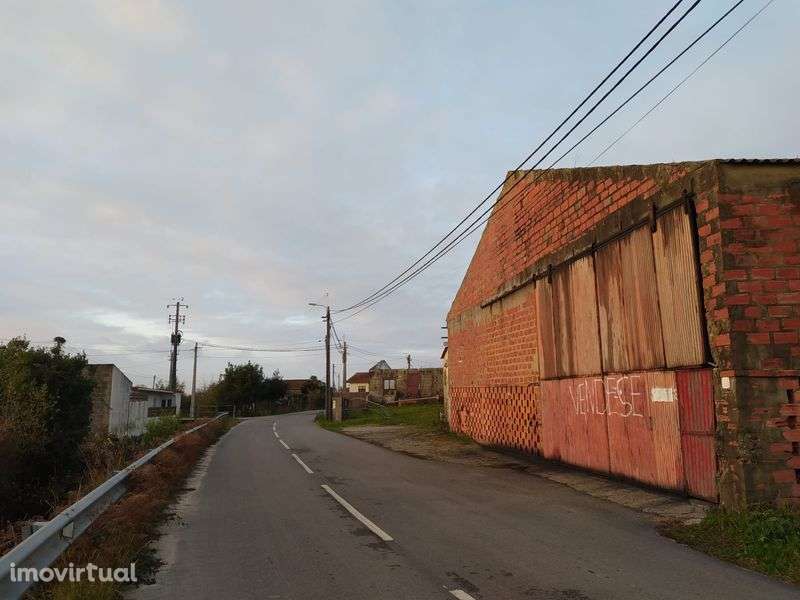 Vacaria com casa de habitação - Grande imagem: 2/8